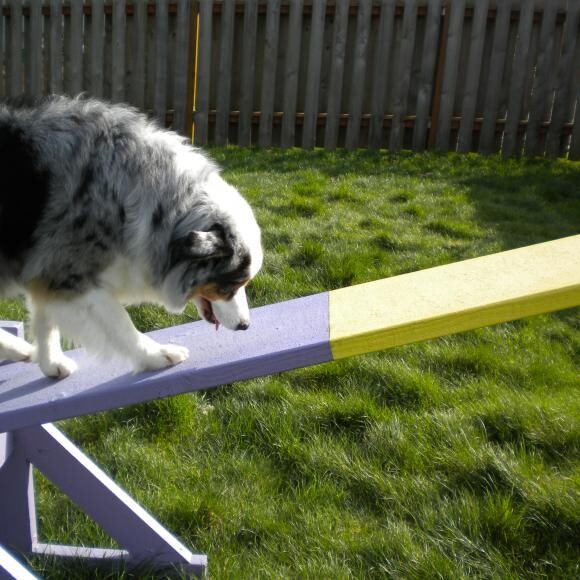 Sparrow on the Teeter Totter