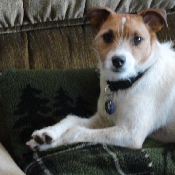 This is our Louie Bear!