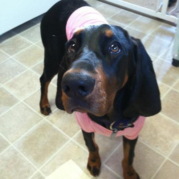 Peeta dressing up for the day.