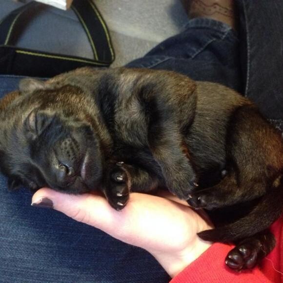 6 days old