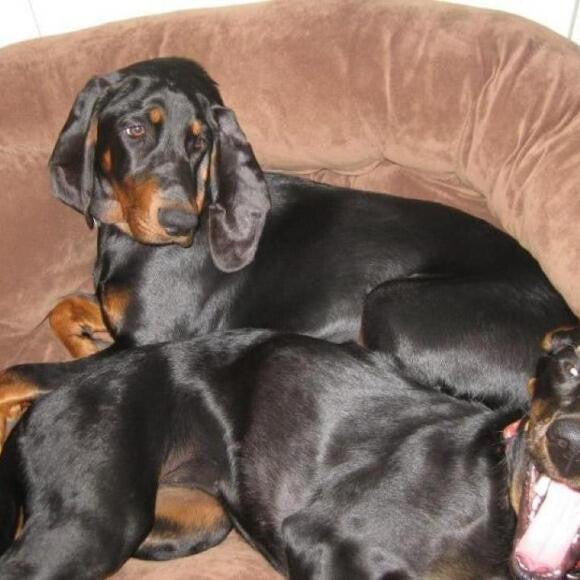 Peeta & her (silly) sister, Sophie