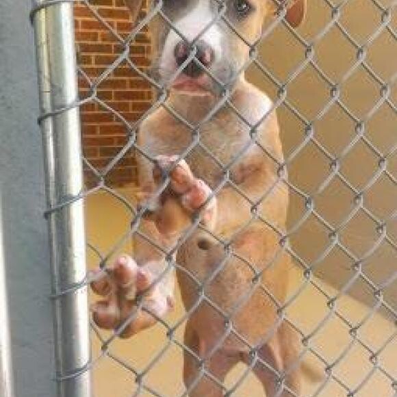 LilyBug in the shelter Sep 2013