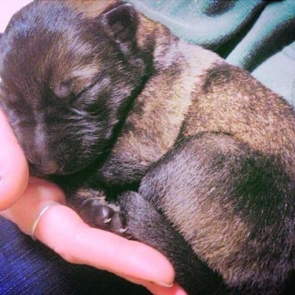 2 days old