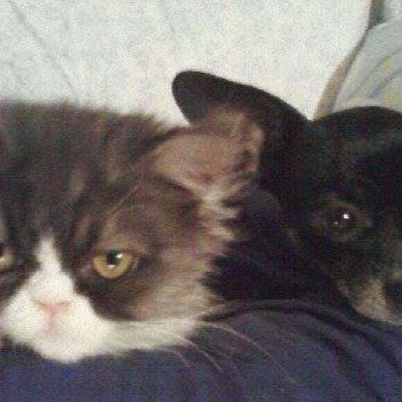 Beh-beh with my dog Cheeka (btw, Cheeka loved Prowl too, lol)