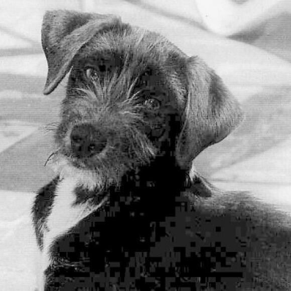 a few days after I found him. nSeville, Spain