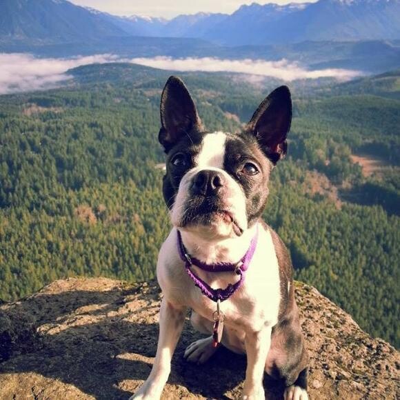 Hiking in the Cascades