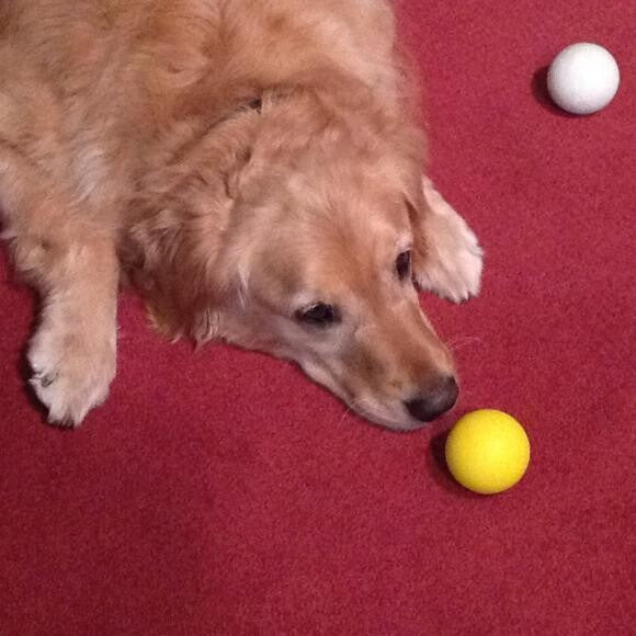 Lacrosse balls are cool