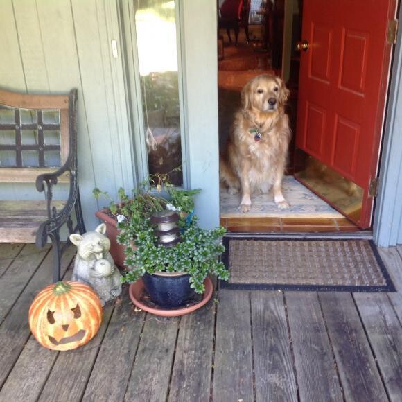 Trick or treat