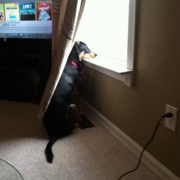 Trying to go outside.