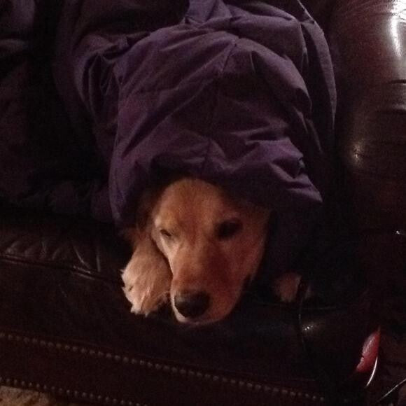 Thunderstorms are evil!