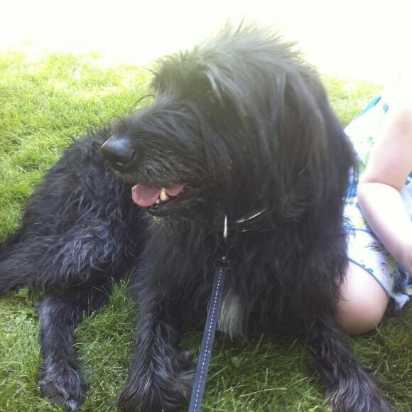 Peyton at the park!