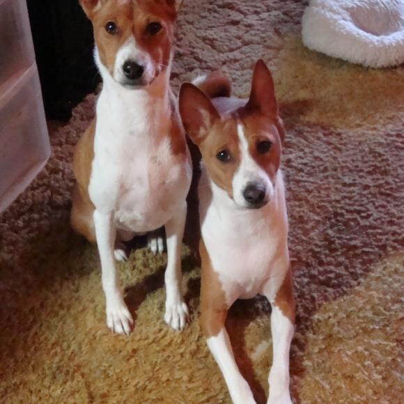 Sweetie and Buddy