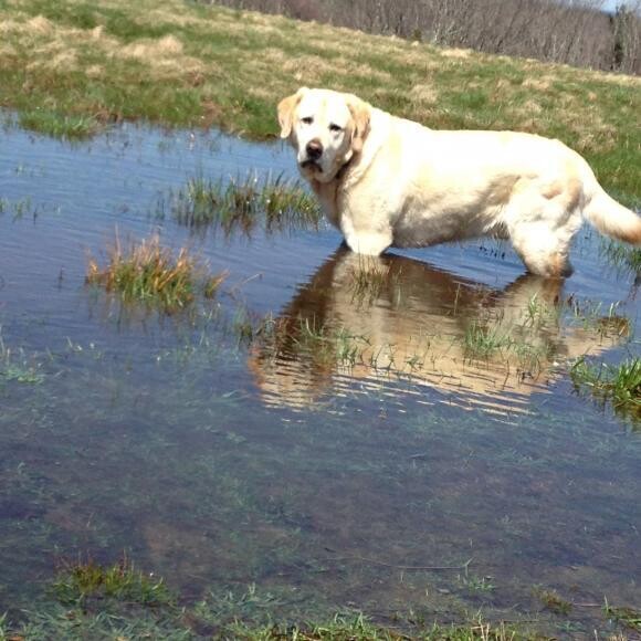 Finny at 88 pounds!