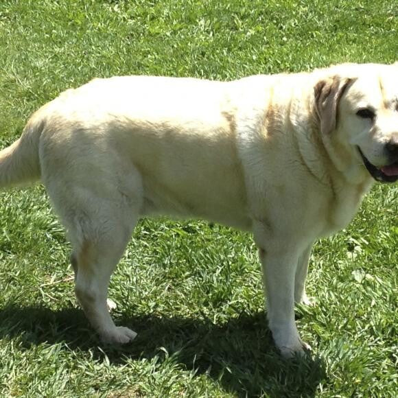 Finny at 103 pounds