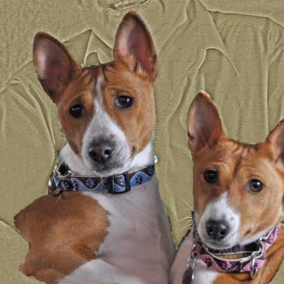 Buddy and Sweetie