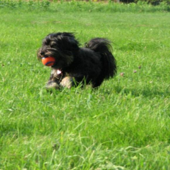 Mag and her orange ball...