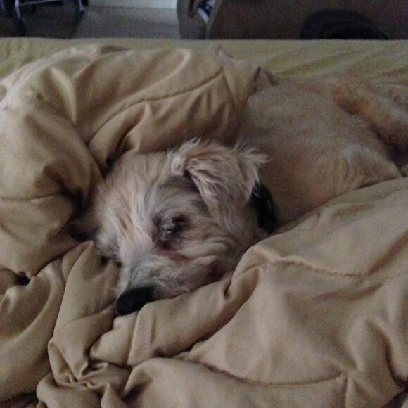 More nap time !