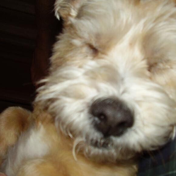 Snooze time !