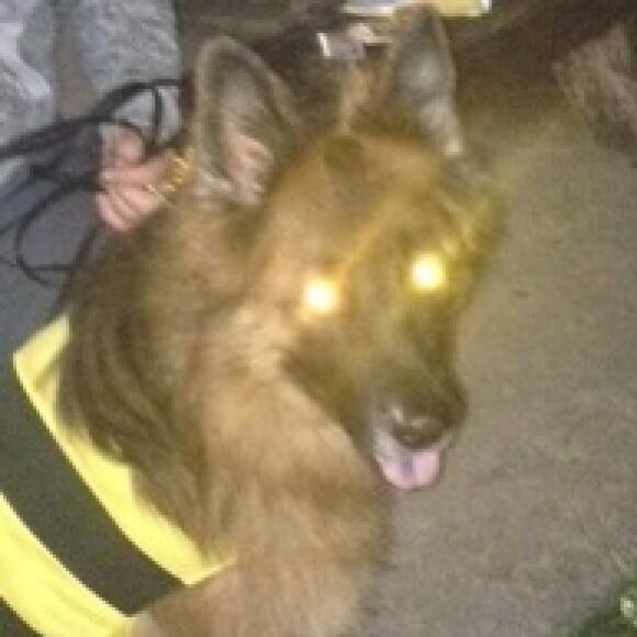 Halloween 2013...love the glowing eyes!!!