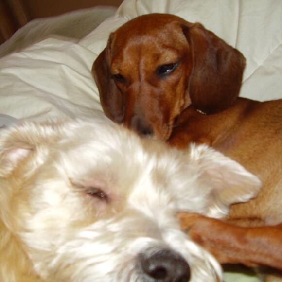 Hayley and her sister, Daisy