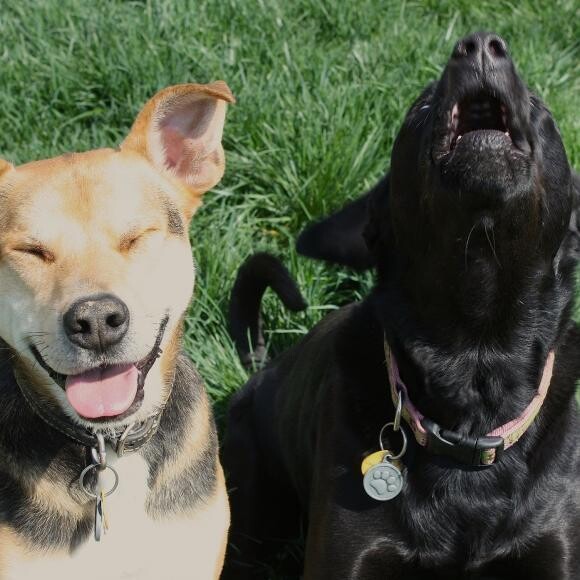 Jake (on the left) and his sister, Emma.