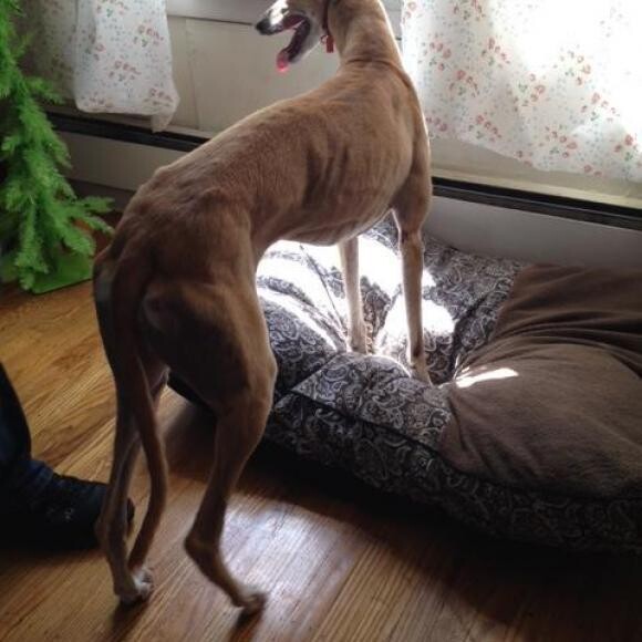 rare photo of Rhoda standing
