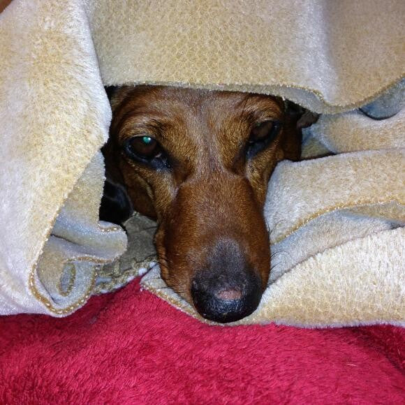 under the weather