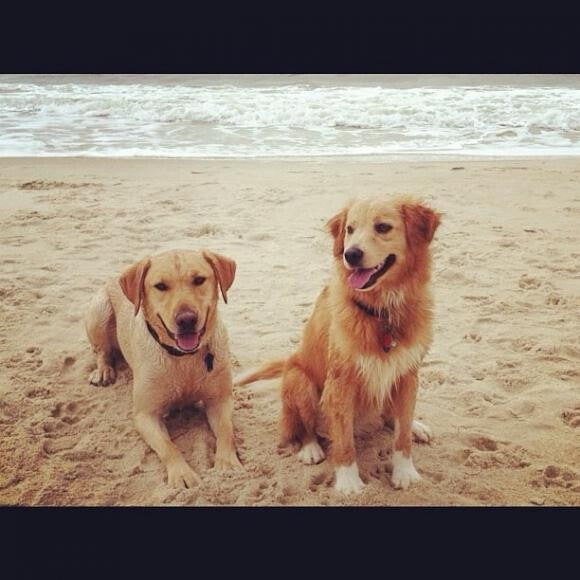 With sister Bailey on the beach.
