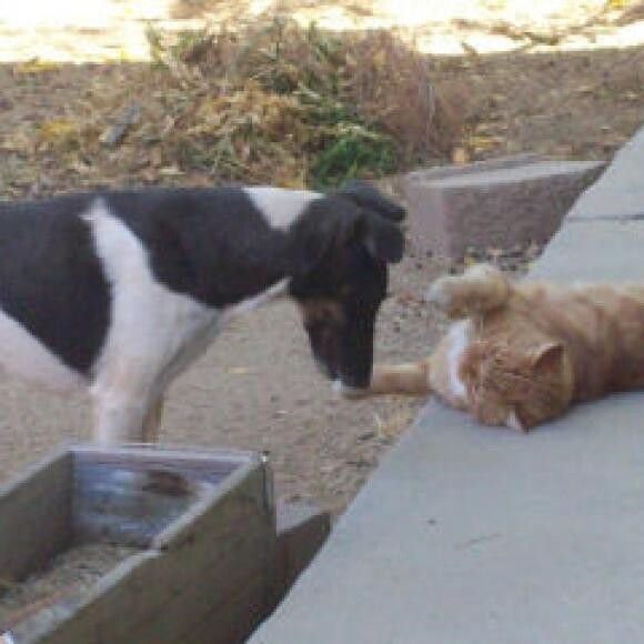 Garrett and Rosco working out their relationship