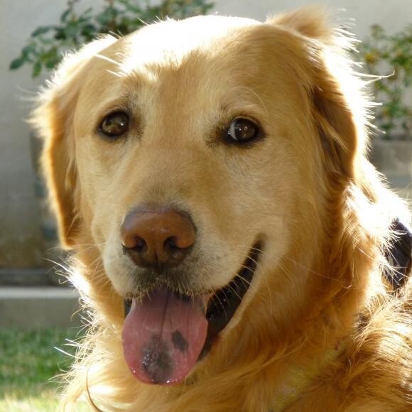 Quincy