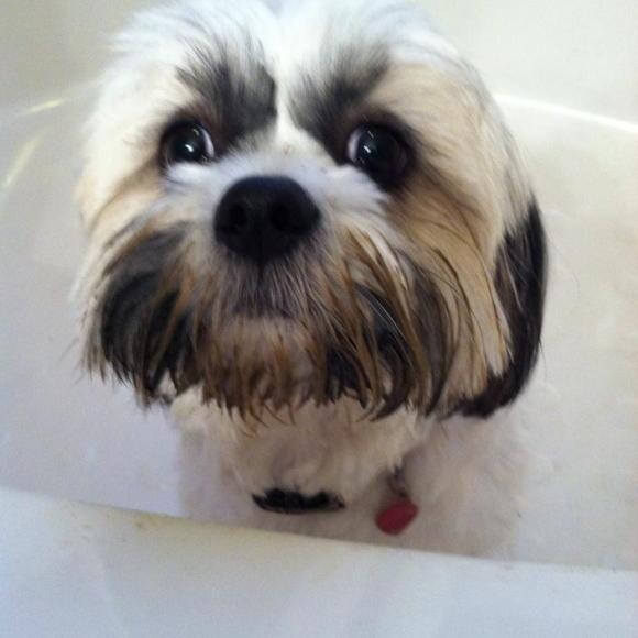 I get lots of baths thanks to my love of digging!