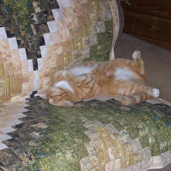 It's a tough life.