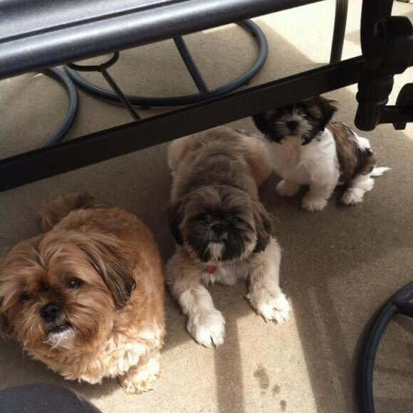 Me and my two sisters watching mommie each lunch