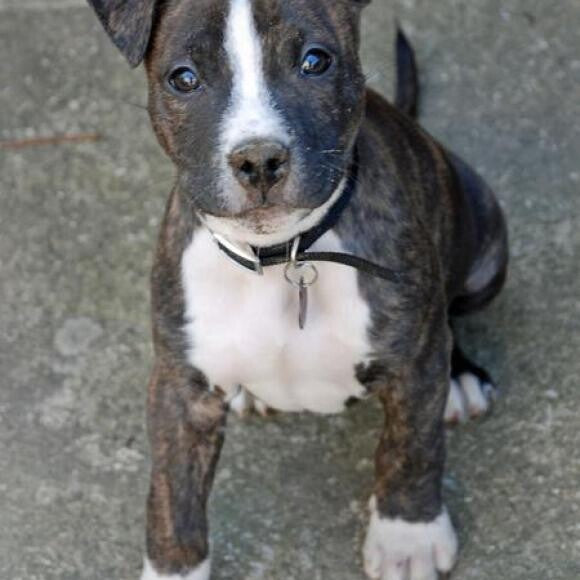 Elliot at 10 weeks