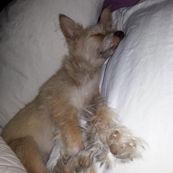 Keen coma!