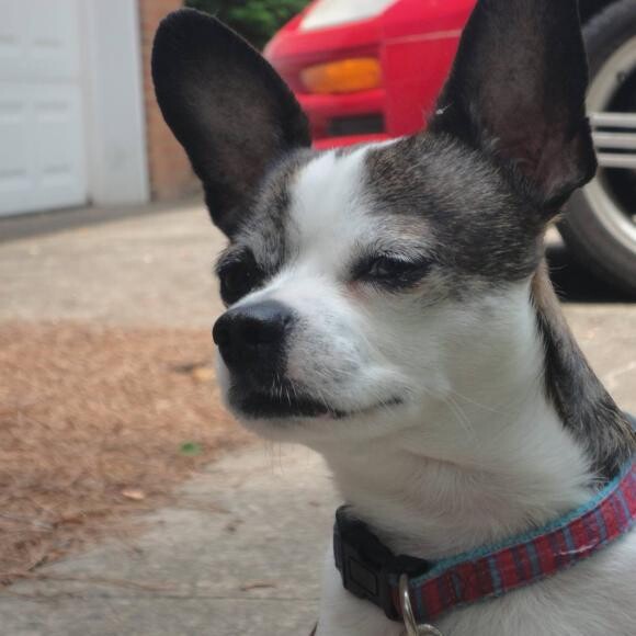 Is that my food over there?