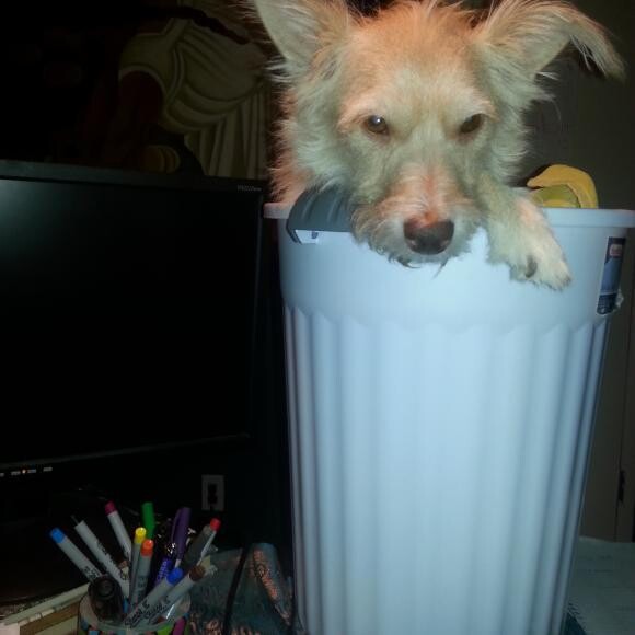 Abigail in her bucket (Bailey Chair)