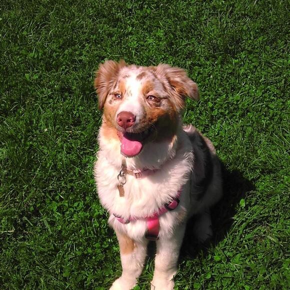 Annie posing to get her picture taken!