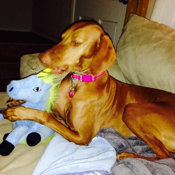 Her favorite stuffie
