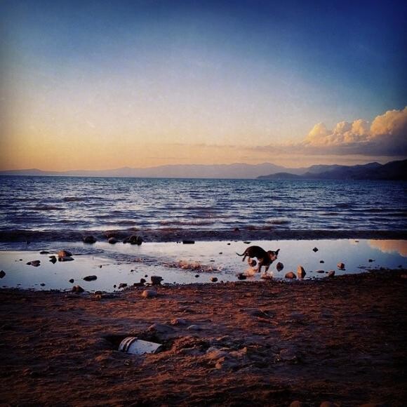 We're pretty sure this is what Hueco imagines when he sleep-runs.