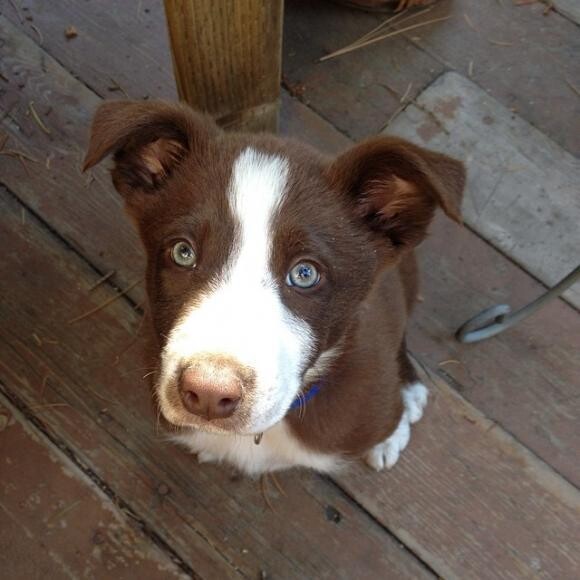 Did I hear you say, dinner?
