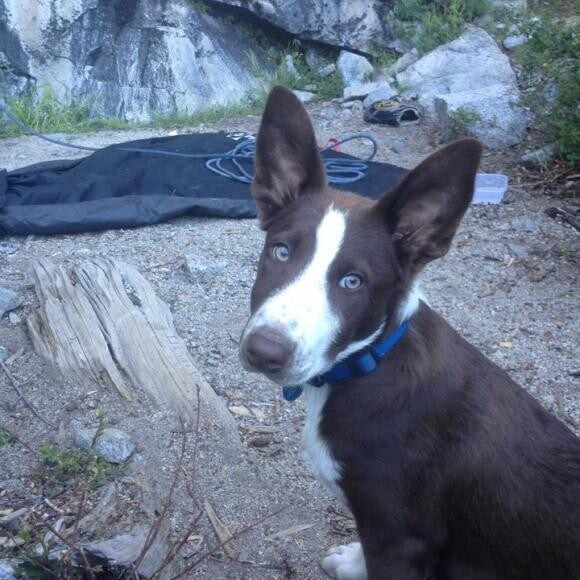 Hueco at 4months, patiently awaiting his momma's descent from the climbing wall.
