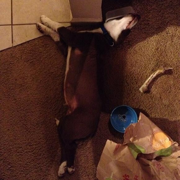 The meal was OK, we guess.