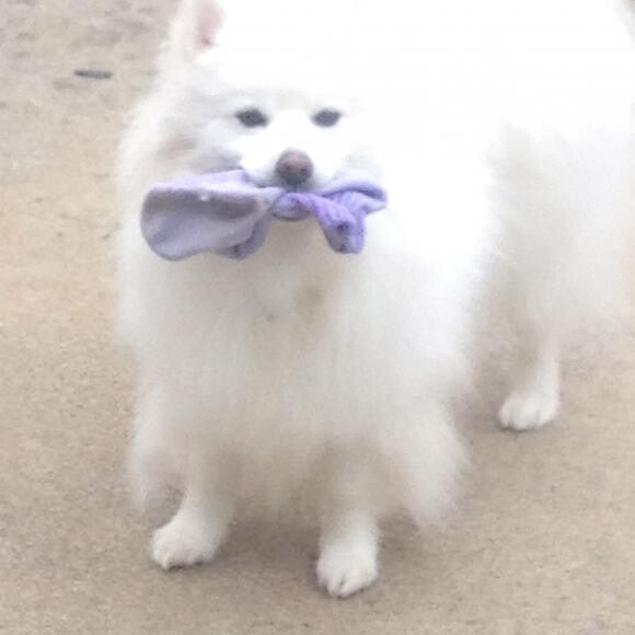 Thief of my heart and socks!