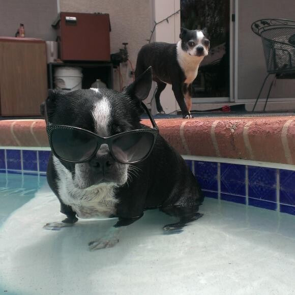 chilling in the pool