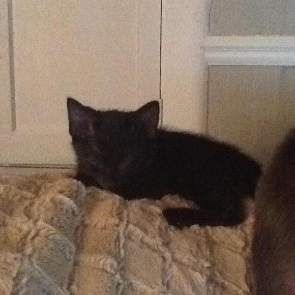 First night at home.