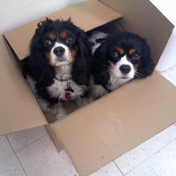 Cooper & his sister, Molly.