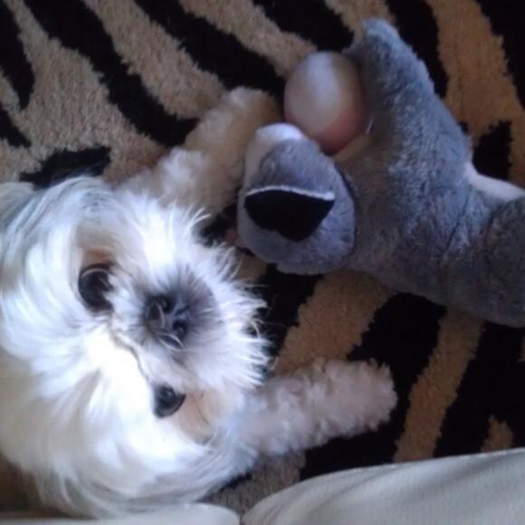 She loves to play with her stuffed animals!!