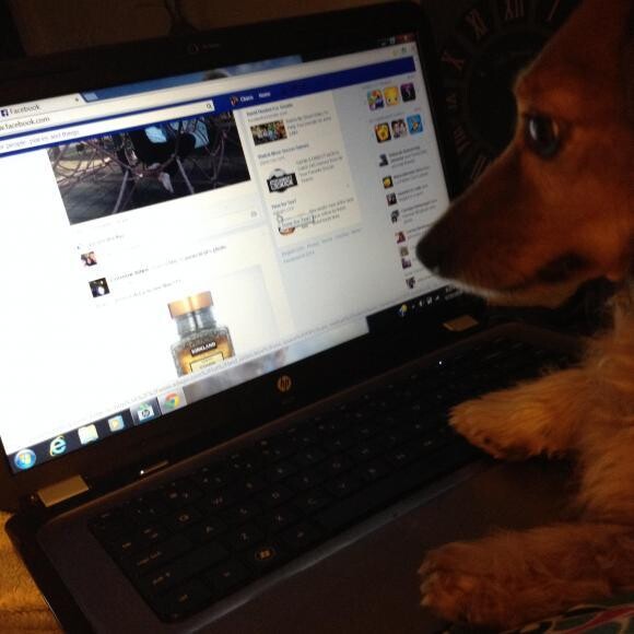 Morgan online shopping for THK