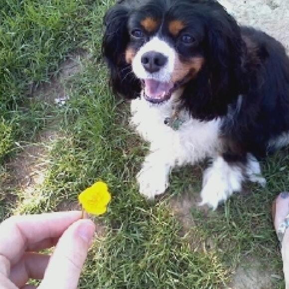 Cooper is always all smiles! :)